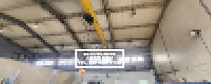 <img src=