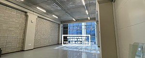 <img src=